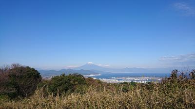 静岡さるく 富士山見にきたよ
