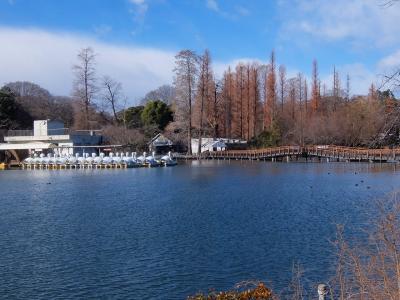 新春ウォーク　井の頭恩賜公園から三鷹