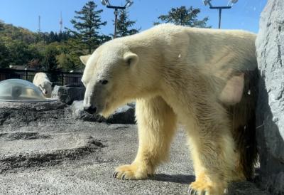 □■□秋の旭川・弾丸二人旅　その③□■□