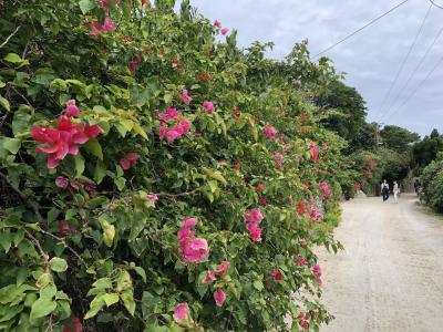 冬の八重山ひとり旅＊③ゆるりと巡る♪癒しの島