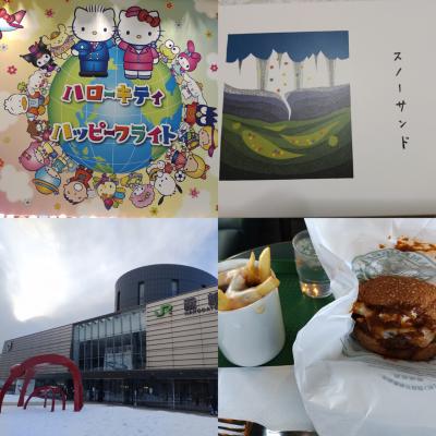 2023年2月《HOKKAIDO LOVE！6日間周遊パス》一人旅[2]新千歳空港、函館~スイーツと共に~