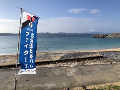 毎年恒例２月の沖縄旅行　その２