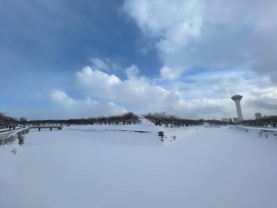 大寒波の函館旅(雪舞う寒さ編)