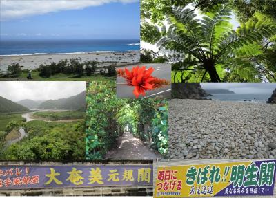 はげー！（あらまあ！）　世界遺産の 奄美大島・加計呂麻島 