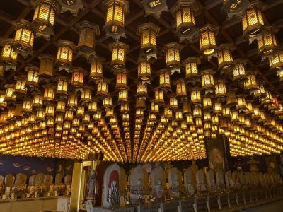 50歳以上限定・西なびグリーンパスでグリーン車に乗りまくる旅 ②厳島神社