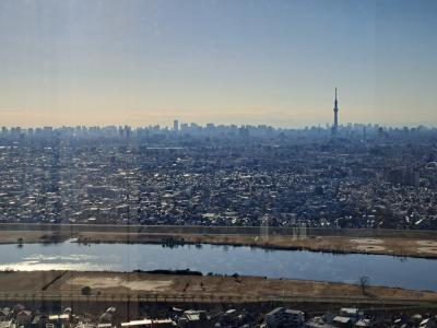 いちかわ　水辺と紅葉めぐり　とっておきの絶景へ