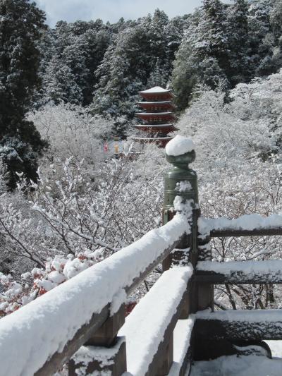 年末の奈良は雪だった(O_O)