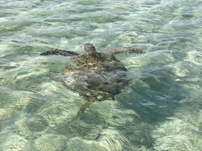 ゆるっとワーケーション：2月の宮古島（後編）