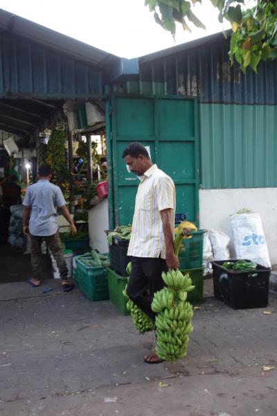 香港からのモルディブ・スリランカ遠征 (1-6) マレを朝散歩③ "ローカルマーケット" では、バナナはこれくらい買うのが当たり前らしい？
