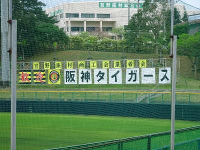 2月沖縄は、プロ野球キャンプ真っ盛り