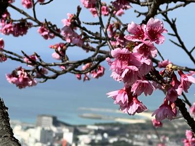 7515キャンペーンを使って行く冬の沖縄旅行（前編：何をやってもついてない日）　