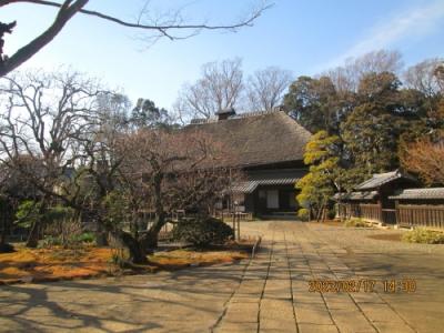 柏市の花野井・旧吉田家住宅歴史公園・ひなまつり・2023年