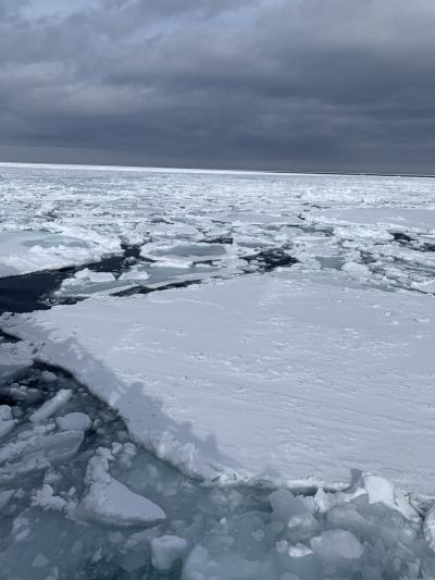 サロマ湖鶴雅リゾート　塩別つるつる温泉　マウレ山荘　網走流氷砕氷船おーろら号　紋別ガリンコ号　全国旅行支援！