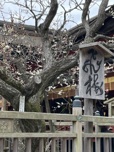 ひこの日帰り弾丸トラベラー ! (福岡編～太宰府天満宮、警固神社、ひらお、角屋)