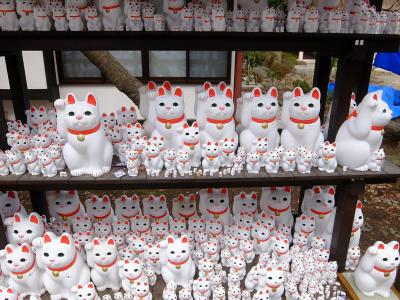 羽根木公園で観梅し，その後に豪徳寺と世田谷八幡宮を訪れた