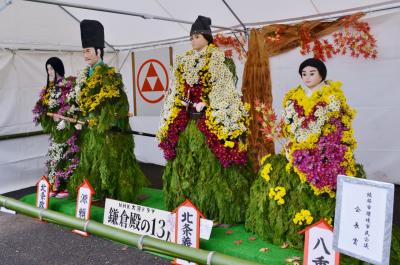 綾部バラ園「秋のバラまつり」＆丹波自然運動公園「菊花展」を楽しむ