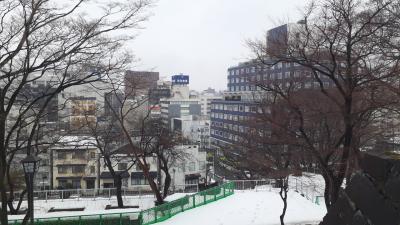 東京発「鉄道開業150周年記念ファイナル　新幹線お先にトクだ値スペシャル」(グランクラス用)で行く日帰り？ワンデー岩手2023・02(後編)