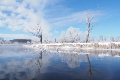 冬の釧路はおもしろい （３）マイナス21℃の早朝カヌーで見たものは・・…