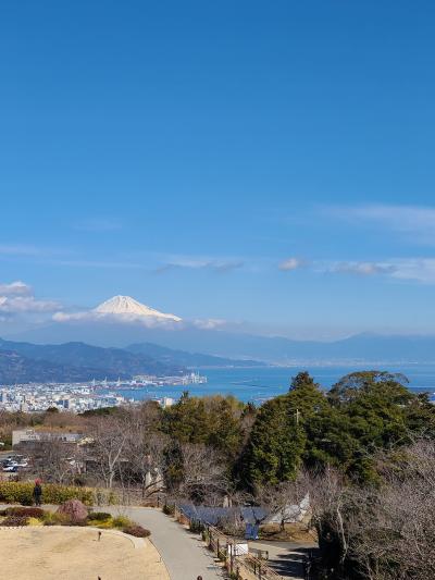 静岡から富士山