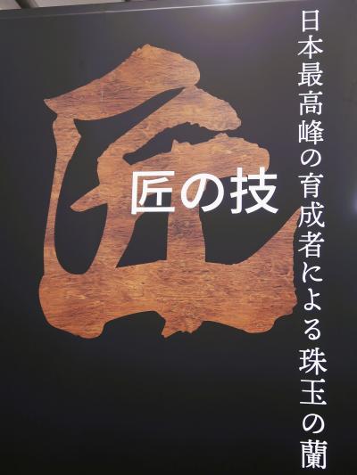 世界らん展-7 匠の技 珠玉のランｰ最高峰の育成者 ☆日本大賞‐過去受賞