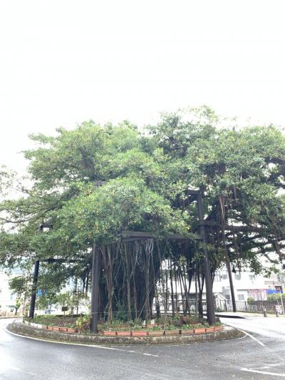 2023年2月7515で沖縄ひとり旅②