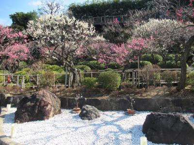 池上梅園と池上本門寺を散策して自然を感じる