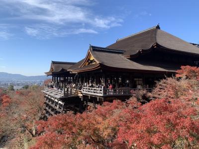 京都世界遺産と紅葉の旅①