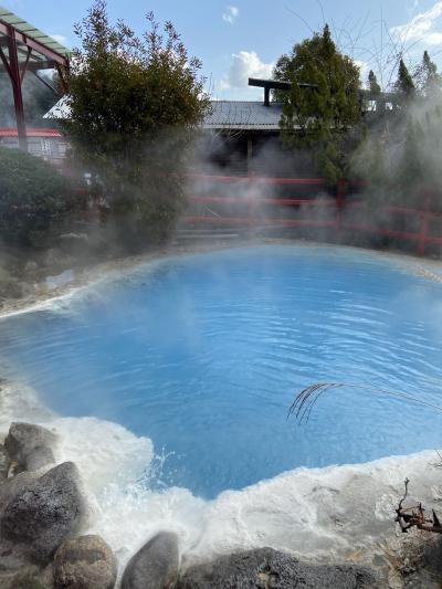 さんふらわあくれないで行く！別府・湯布院旅行１泊3日