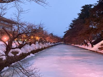 グランクラスに東日本パスと青春18きっぷを付けた青森旅その1-2　　足腰鍛える弘前の街歩き