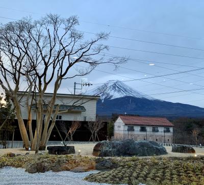 東京⇔河口湖を高速バス移動＆現地レンタカーで参拝・観光・絶景の旅