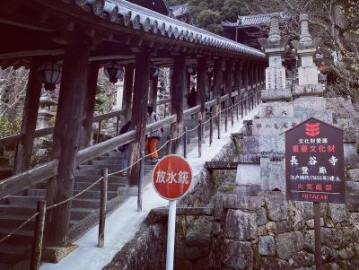 日帰りバスツアー、針テラスで大和地鶏のランチ、長谷寺、石舞台古墳、三輪山大神神社へ