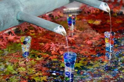 高取城の紅葉 & 西国三十三所七番札所・岡寺に参拝する