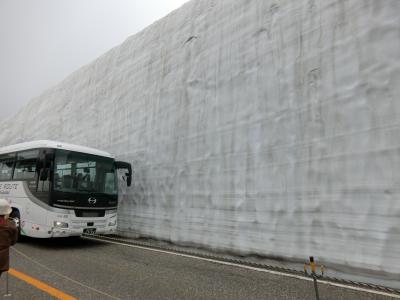 おまかせツアーで雪の大谷ウォーク、アルペンルートへお得に行けちゃった。雪の大谷ウォーキング②