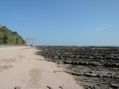 九州一筆書きの旅　3日目　宮崎を縦断して青島へ立ち寄り後、鹿児島へ（日豊本線の乗り心地は最悪）