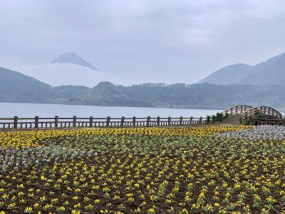 2023年最初の旅は霧の鹿児島◡̈&#9829;︎◡̈①指宿＊霧島2023向春