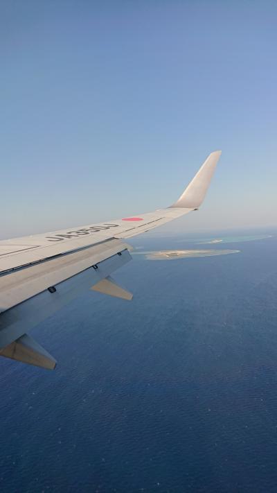 初の沖縄さるく ２月も沖縄あちいよ