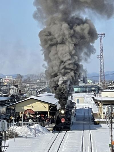 4度目の「SL冬の湿原号」見学。