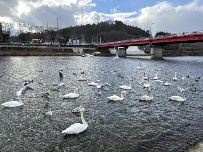 2023年2月　娘と2人日帰り旅　娘が生まれた場所を見に行く仙台旅