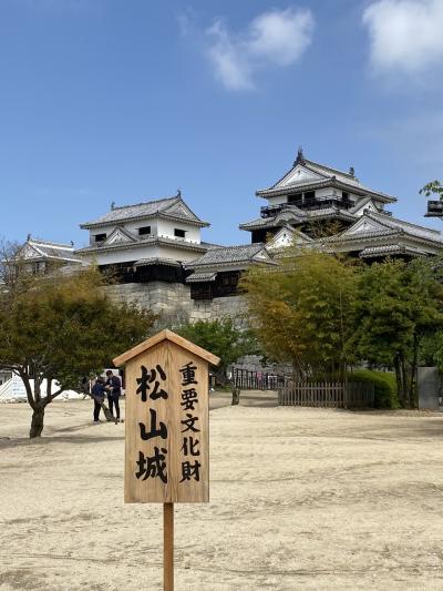 松山城と道後温泉