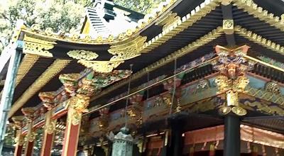 親子4代で行った久能山東照宮、サファリパーク(回顧録)