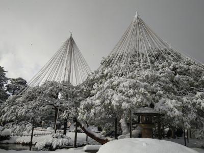 雪の兼六園を楽しむ金沢散策～西なびグリーンパスを使った4泊5日　冬のおばちゃん旅④～