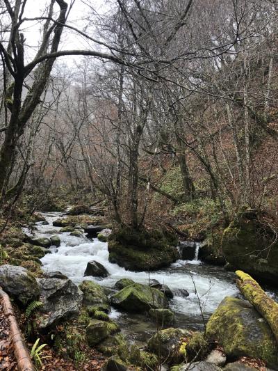 東北弾丸ツアー一人旅（中尊寺・奥入瀬・十和田湖・角館）