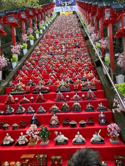 1日早過ぎて空振りした「かつうらビッグひな祭り」リベンジするため再び勝浦の街と遠見岬神社へ