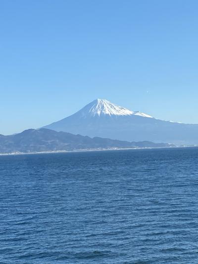 富士山満喫と河津桜