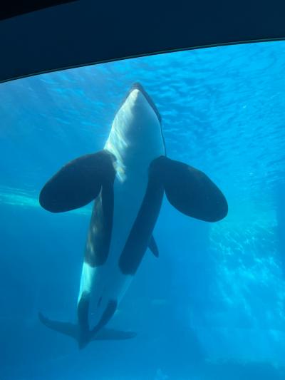 ひのとりに乗って名古屋港水族館へ～ベッセルホテルカンパーナ名古屋