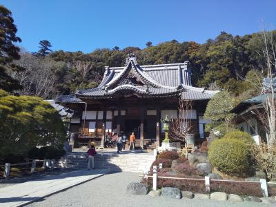 今更のドラマゆかりの地・修善寺・三島春の旅（１）まずは修善寺観光します