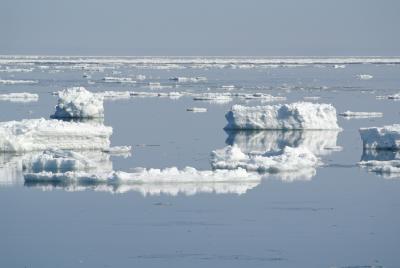 流氷、SL、タンチョウヅル