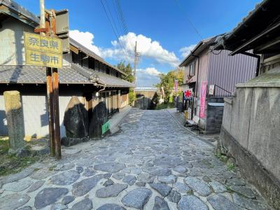 歴史街道　暗峠(くらがりとうげ)の石畳～特等席からの眺望