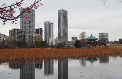 古石神井川と将門塚