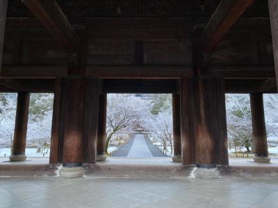 4年ぶり!全国旅行支援利用して冬の京都旅